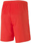 Puma Shortsit TeamGoal 23 Knit Shorts Red 704262 01 hinta ja tiedot | Jalkapallovaatteet ja -varusteet | hobbyhall.fi