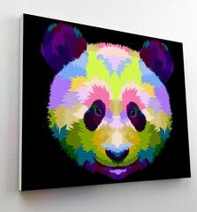 Numeromaalaus Panda, Splat Planet, 30x40 cm hinta ja tiedot | Maalaa numeroiden mukaan | hobbyhall.fi