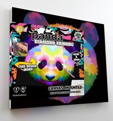 Timanttimosaiikki Splat Planet Panda, 30x40 cm hinta ja tiedot | Timanttimaalaukset | hobbyhall.fi