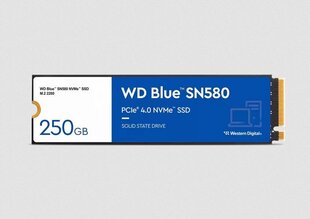 WD Blue SN580 WDS250G3B0E hinta ja tiedot | Kovalevyt | hobbyhall.fi