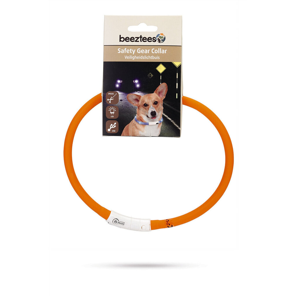 LED-kaulus Beeztees Dogini, 70x1cm, oranssi hinta ja tiedot | Koiran valjaat ja kaulapannat | hobbyhall.fi