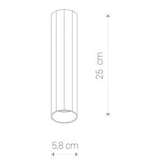 Nowodvorski Lighting kattovalaisin Poly M Black 8878 hinta ja tiedot | Kattovalaisimet | hobbyhall.fi