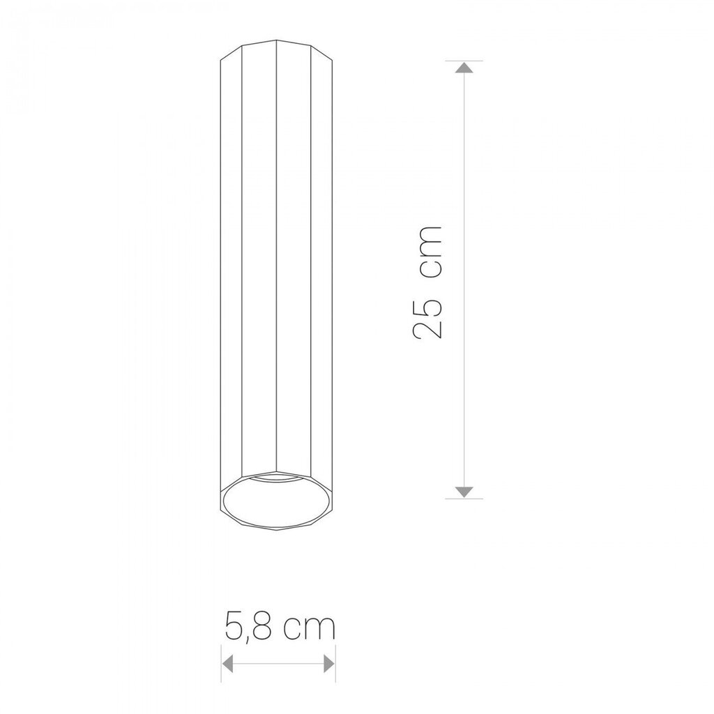 Nowodvorski Lighting kattovalaisin Poly M Black 8878 hinta ja tiedot | Kattovalaisimet | hobbyhall.fi