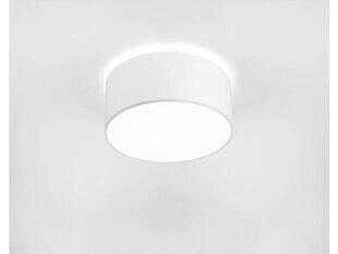 Nowodvorski Lighting kattovalaisin Cameron White II 9605 hinta ja tiedot | Kattovalaisimet | hobbyhall.fi