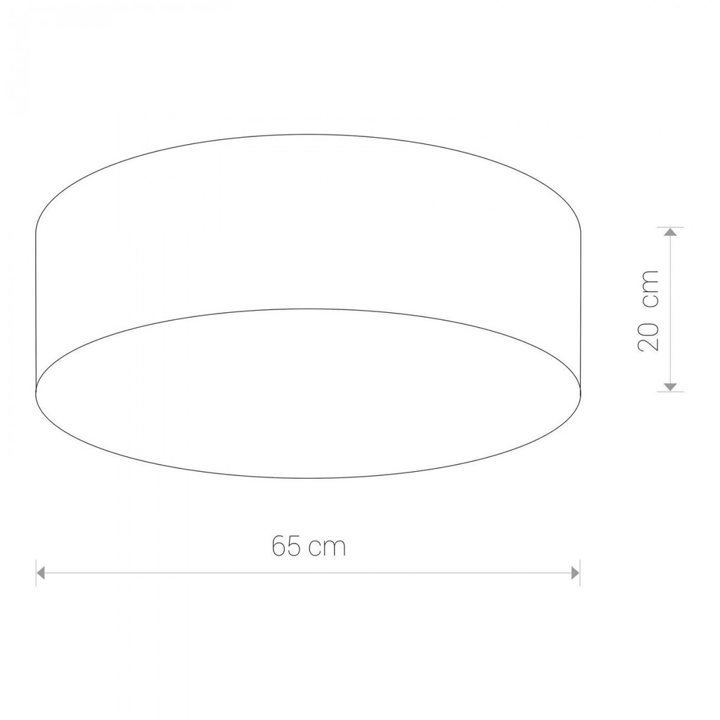 Nowodvorski Lighting kattovalaisin Cameron White IV 9606 hinta ja tiedot | Kattovalaisimet | hobbyhall.fi