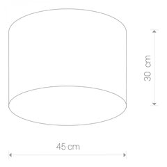 Nowodvorski Lighting kattovalaisin Cameron Gray III 9683 hinta ja tiedot | Kattovalaisimet | hobbyhall.fi