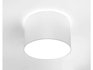 Nowodvorski Lighting kattovalaisin Cameron White III 9684 hinta ja tiedot | Nowodworski Huonekalut ja sisustus | hobbyhall.fi