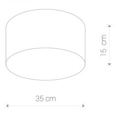 Nowodvorski Lighting kattovalaisin Cameron Gray II 9687 hinta ja tiedot | Kattovalaisimet | hobbyhall.fi