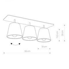 Nowodvorski Lighting kattovalaisin Awinion III 9717 hinta ja tiedot | Kattovalaisimet | hobbyhall.fi