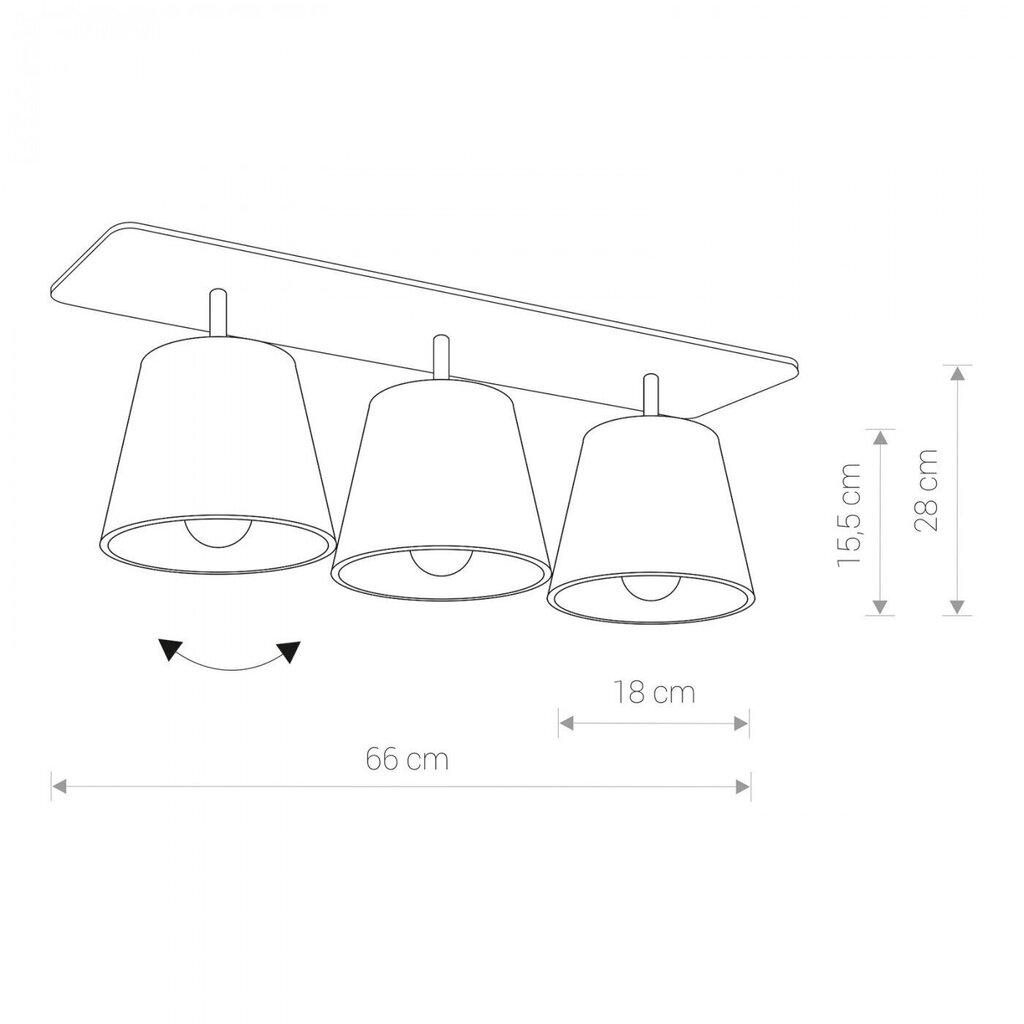 Nowodvorski Lighting kattovalaisin Awinion III 9717 hinta ja tiedot | Kattovalaisimet | hobbyhall.fi