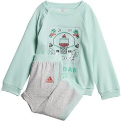 Adidas Urheiluasu I Graph Ft Mint Grey hinta ja tiedot | Tyttöjen kokoasut ja setit | hobbyhall.fi