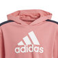 Adidas Urheiluasu G Hooded Crop Ts Black Pink hinta ja tiedot | Tyttöjen kokoasut ja setit | hobbyhall.fi