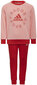 Adidas Urheiluasu Lk Logo Jog Set Red Pink H65799 hinta ja tiedot | Tyttöjen leggingsit ja housut | hobbyhall.fi