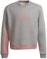 Adidas Urheiluasu G Bos Co Ts Grey Pink H57225 hinta ja tiedot | Tyttöjen leggingsit ja housut | hobbyhall.fi