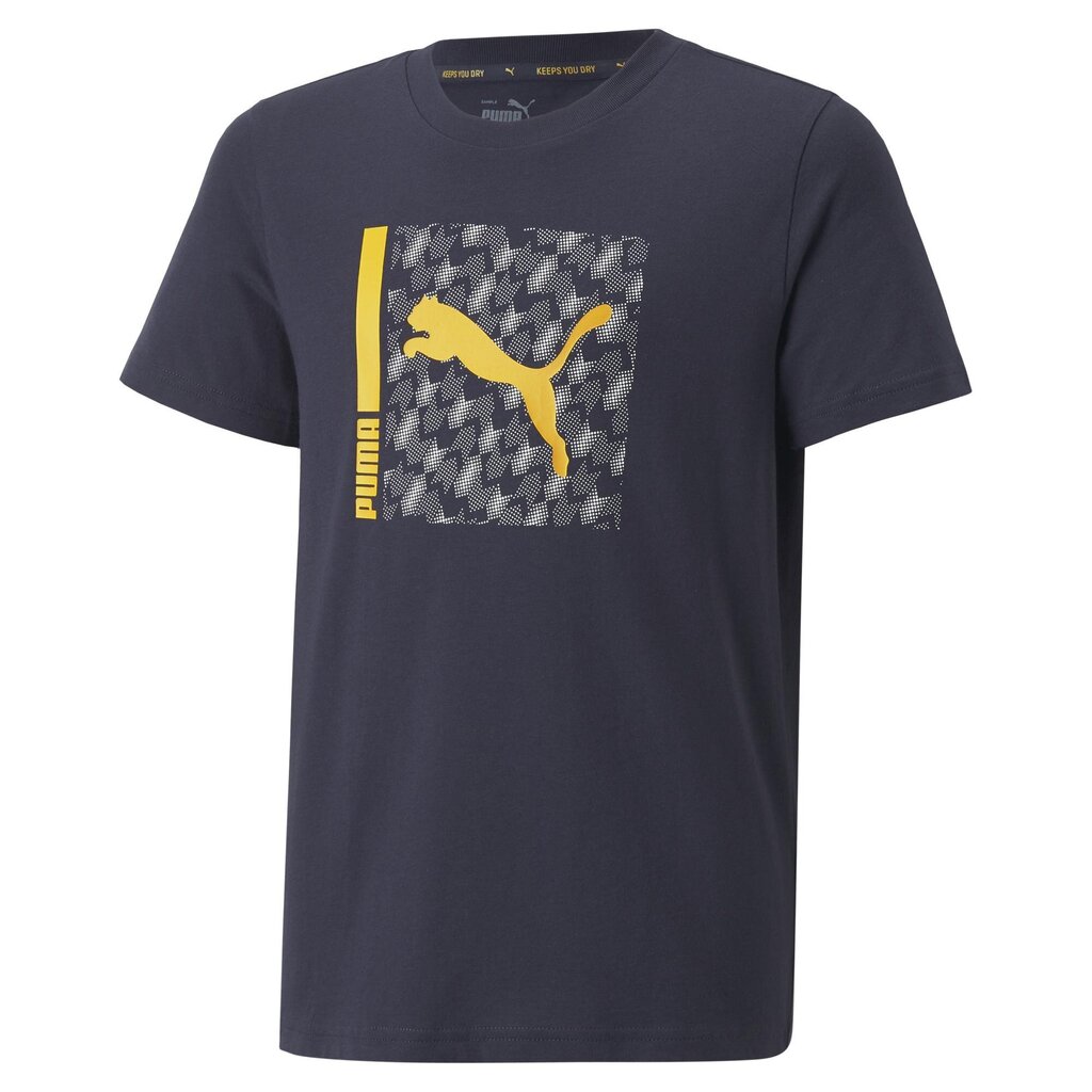 Puma T-paita Active Sports Tee Blue 670071 43 hinta ja tiedot | Poikien paidat | hobbyhall.fi