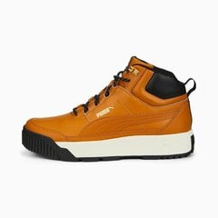 Puma Jalkineet Tarrenz Sb Desert Tan Brown 386392 02 hinta ja tiedot | Miesten urheilu- ja vapaa-ajan kengät | hobbyhall.fi