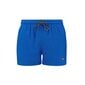 Puma Uimahousut Swim Men Blue 907658 20 hinta ja tiedot | Miesten uimahousut ja -shortsit | hobbyhall.fi