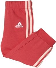 Adidas Housut I FAV KN PANT Red hinta ja tiedot | Vauvan housut | hobbyhall.fi