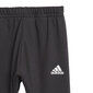 Adidas Urheiluasu I Jog Set B Black Green hinta ja tiedot | Vauvanvaatesetit | hobbyhall.fi