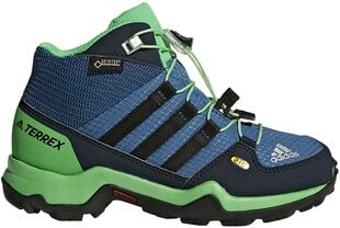 Adidas Jalkineet Terrex Mid Gtx K Blue Green hinta ja tiedot | Lasten saappaat | hobbyhall.fi