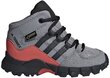 Adidas Jalkineet Terrex Mid Gtx Grey hinta ja tiedot | Lasten saappaat | hobbyhall.fi