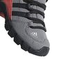 Adidas Jalkineet Terrex Mid Gtx Grey hinta ja tiedot | Lasten saappaat | hobbyhall.fi