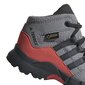 Adidas Jalkineet Terrex Mid Gtx Grey hinta ja tiedot | Lasten saappaat | hobbyhall.fi