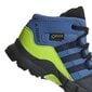 Adidas Jalkineet Terrex Mid Gtx Blue hinta ja tiedot | Lasten saappaat | hobbyhall.fi