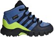 Adidas Jalkineet Terrex Mid Gtx Blue hinta ja tiedot | Lasten saappaat | hobbyhall.fi