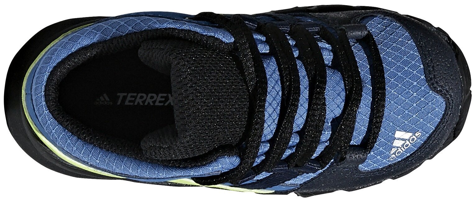 Adidas Jalkineet Terrex Mid Gtx Blue hinta ja tiedot | Lasten saappaat | hobbyhall.fi