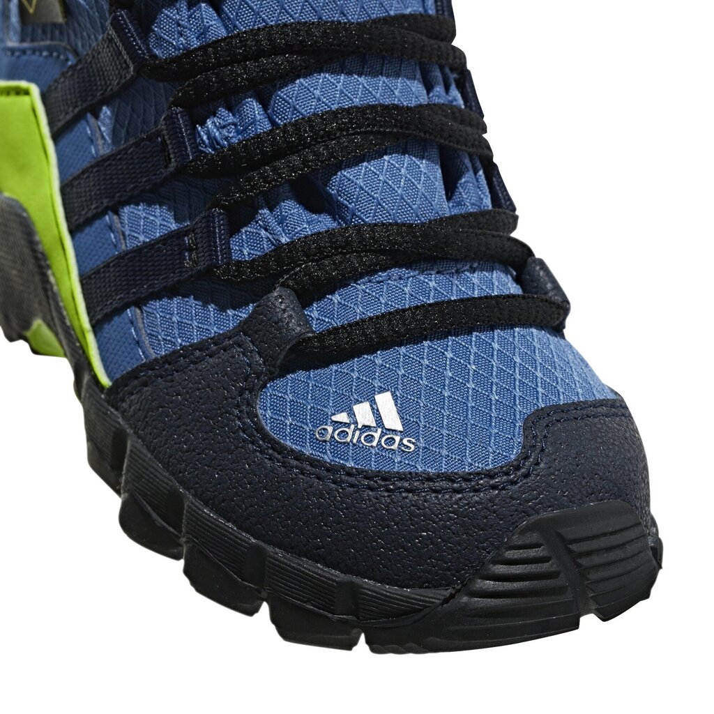 Adidas Jalkineet Terrex Mid Gtx Blue hinta ja tiedot | Lasten saappaat | hobbyhall.fi