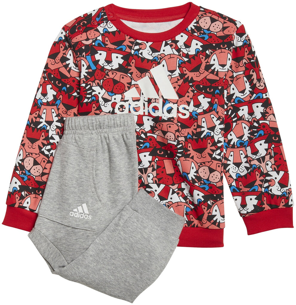 Adidas Urheiluasu I Aop Jog Ft Grey Red HF1970 hinta ja tiedot | Vauvanvaatesetit | hobbyhall.fi