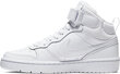 Nike Jalkineet Court Boroudh Mid 2 White hinta ja tiedot | Lasten urheilukengät | hobbyhall.fi