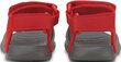 Puma Sandaalit Divecat V2 Injex Inf Grey Red hinta ja tiedot | Lasten sandaalit | hobbyhall.fi