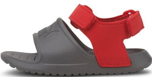 Puma Sandaalit Divecat V2 Injex Inf Grey Red hinta ja tiedot | Lasten sandaalit | hobbyhall.fi