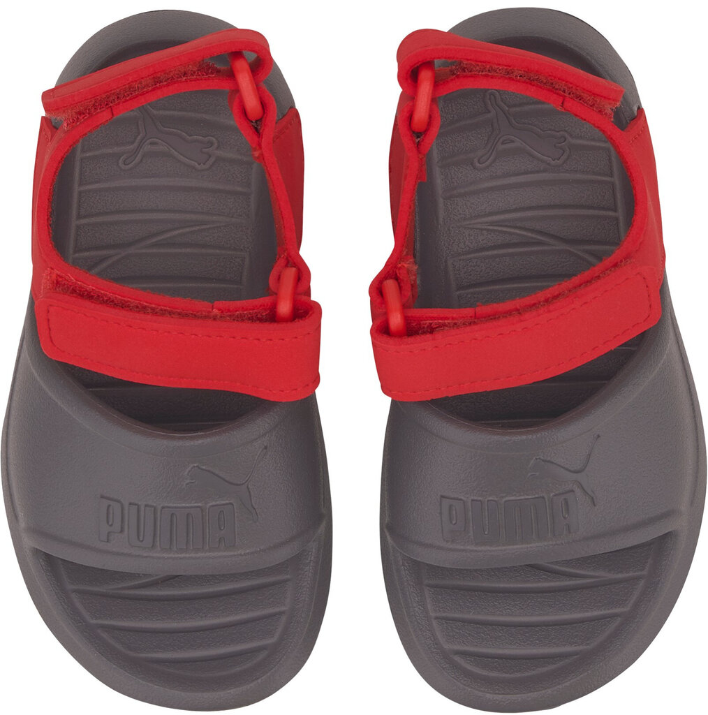 Puma Sandaalit Divecat V2 Injex Inf Grey Red hinta ja tiedot | Lasten sandaalit | hobbyhall.fi