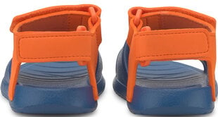 Puma Sandaalit Divecat V2 Injex Inf Blue Orange hinta ja tiedot | Lasten sandaalit | hobbyhall.fi
