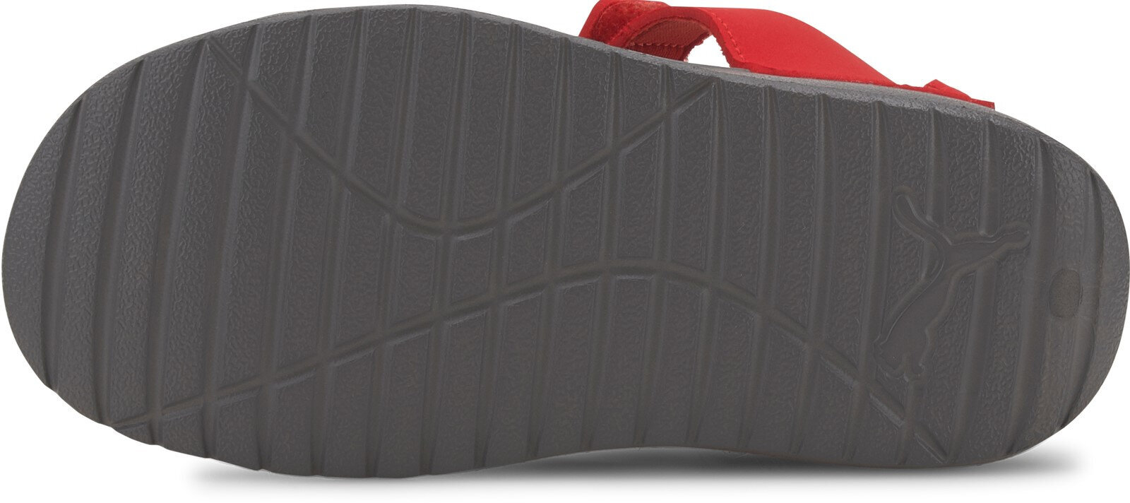 Puma Sandaalit Divecat V2 Injex Grey Red hinta ja tiedot | Lasten sandaalit | hobbyhall.fi