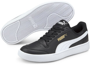 Puma Jalkineet Shuffle Jr Black 375688 03 hinta ja tiedot | Lasten urheilukengät | hobbyhall.fi