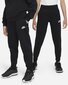 Nike Kids Fleece Jogger collegehousut FD3008*010, musta 196607241615 hinta ja tiedot | Tyttöjen leggingsit ja housut | hobbyhall.fi