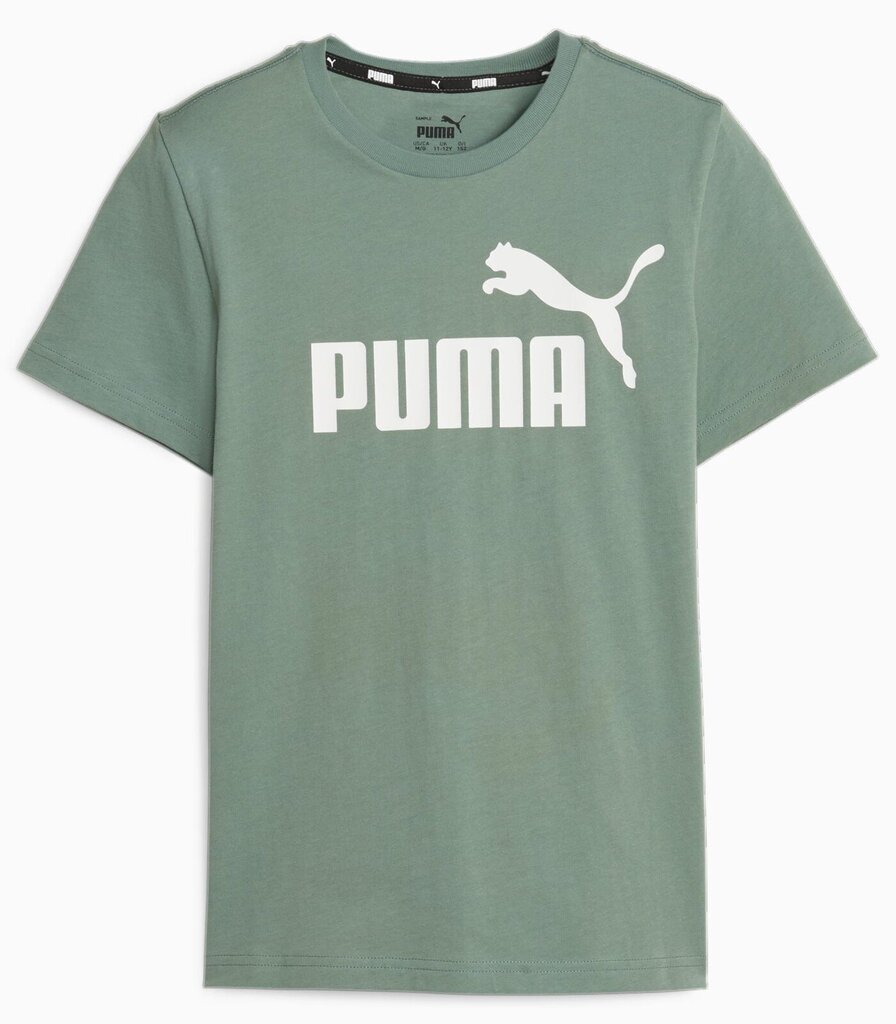 Puma lasten t-paita 586960*45, vihreä 4099683646953 hinta ja tiedot | Poikien paidat | hobbyhall.fi