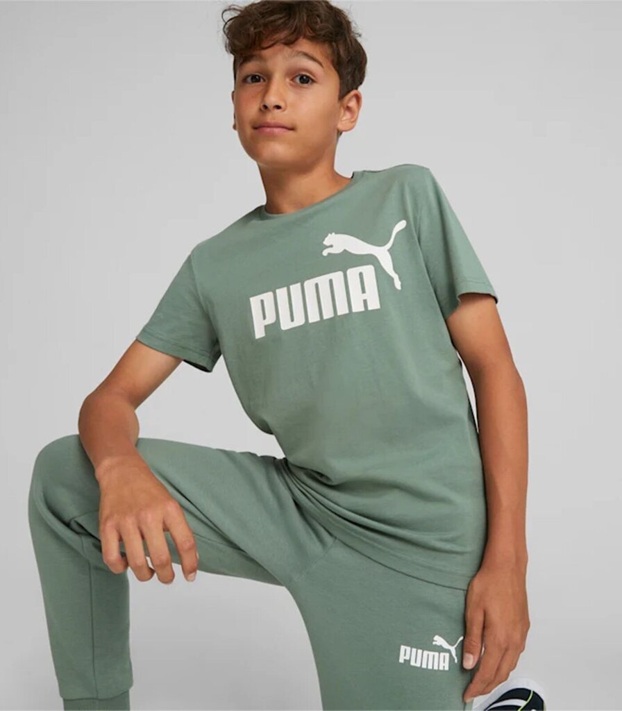 Puma lasten t-paita 586960*45, vihreä 4099683646953 hinta ja tiedot | Poikien paidat | hobbyhall.fi