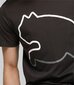 Puma miesten T-paita 676272*01, musta 4099683791059 hinta ja tiedot | Miesten T-paidat | hobbyhall.fi