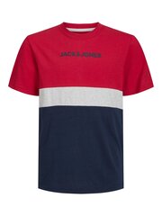 Jack & Jones lasten t-paita 12237430*01, punainen/harmaa 5715425344176 hinta ja tiedot | Poikien paidat | hobbyhall.fi