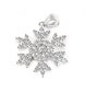 Beneto Design hopea riipus Snowflake AGH680 hinta ja tiedot | Kaulakorut | hobbyhall.fi