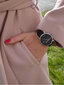 Esprit Puinen hopeaverkko ES1G047M0045 hinta ja tiedot | Naisten kellot | hobbyhall.fi