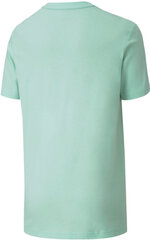 Puma T-paita Alpha Graphic Tee Green hinta ja tiedot | Poikien paidat | hobbyhall.fi