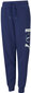 Puma Housut Alpha Sweatpants Blue hinta ja tiedot | Poikien housut | hobbyhall.fi