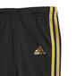 Adidas Urheiluasu I Shiny 49 Jog Black hinta ja tiedot | Poikien kokoasut ja setit | hobbyhall.fi