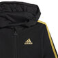 Adidas Urheiluasu I Shiny 49 Jog Black hinta ja tiedot | Poikien kokoasut ja setit | hobbyhall.fi